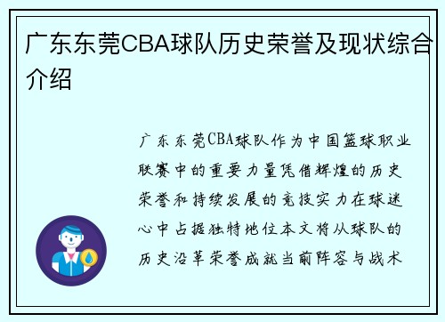 广东东莞CBA球队历史荣誉及现状综合介绍